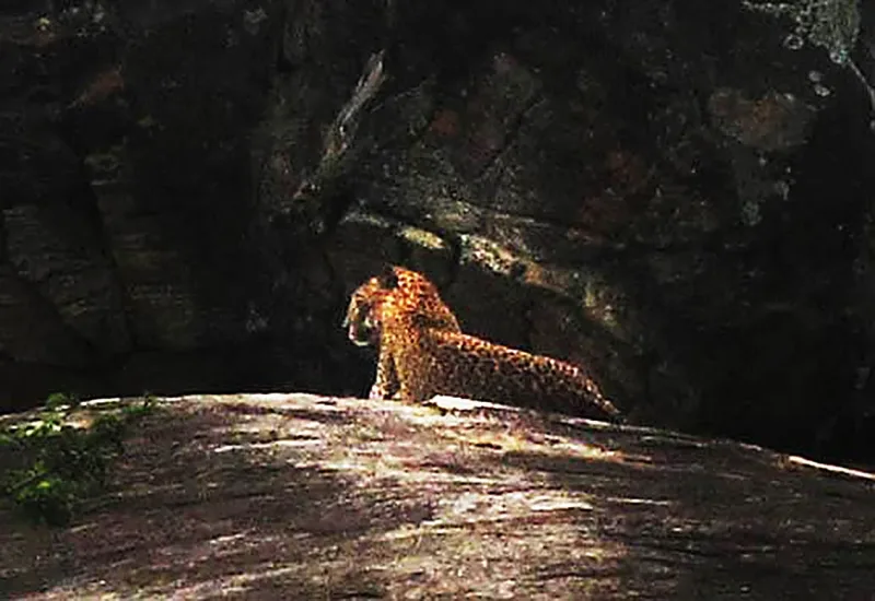 Sri Lanka 2012