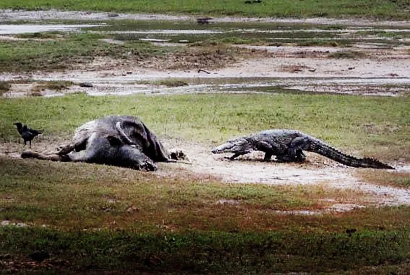 Sri Lanka 2012