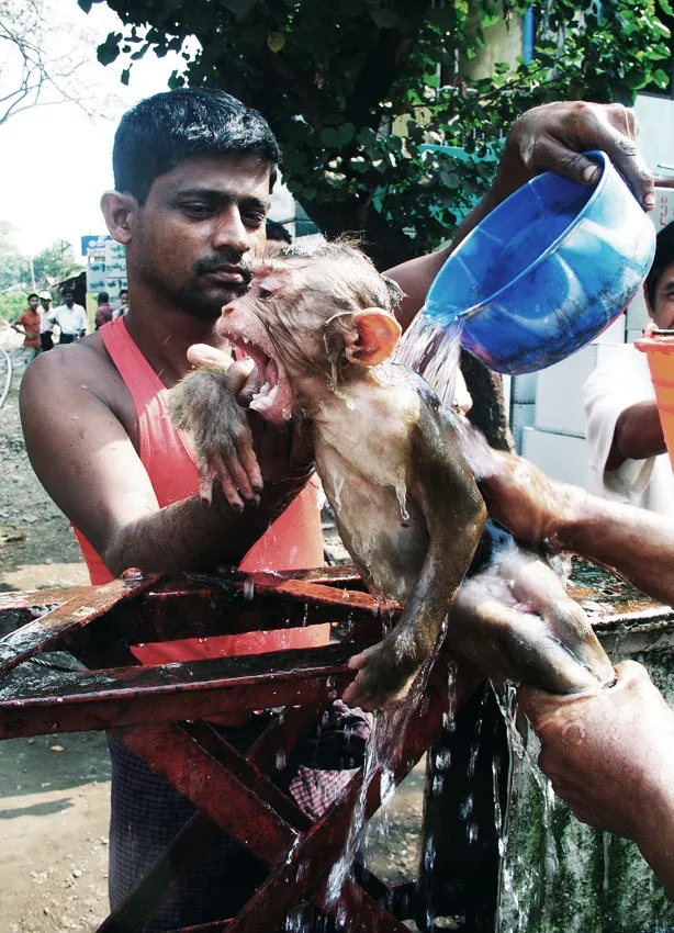 Barma 2007
