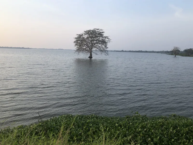 SRI LANKA tuktukem 2022