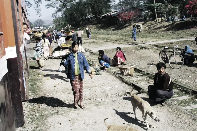 Barma 2007