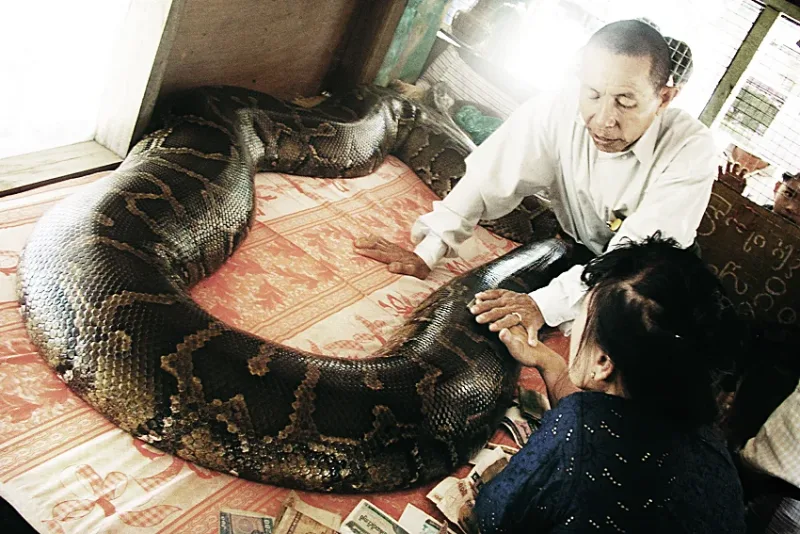 Barma 2007
