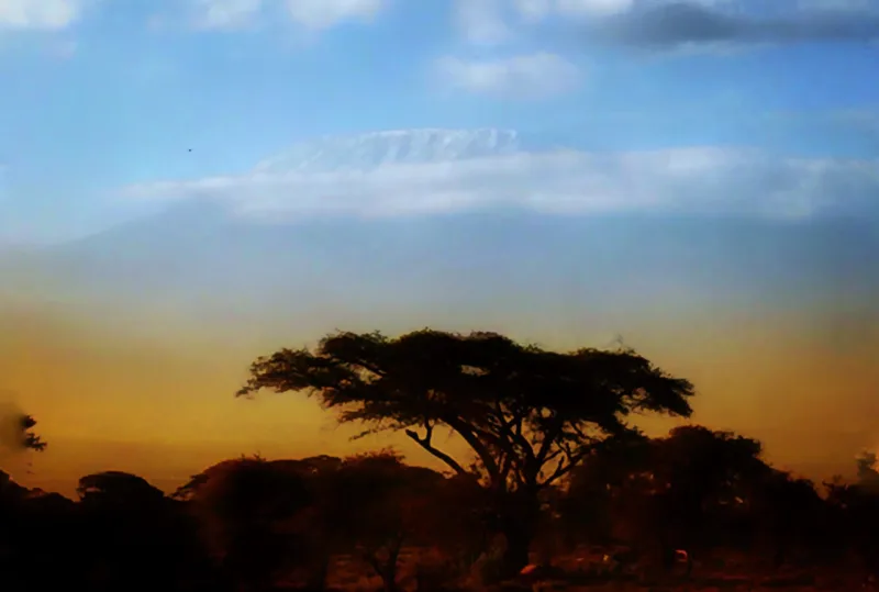 AFRIKA 2018