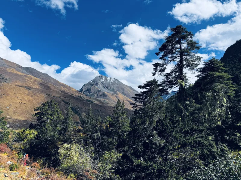 BHUTAN snowman trek 2025