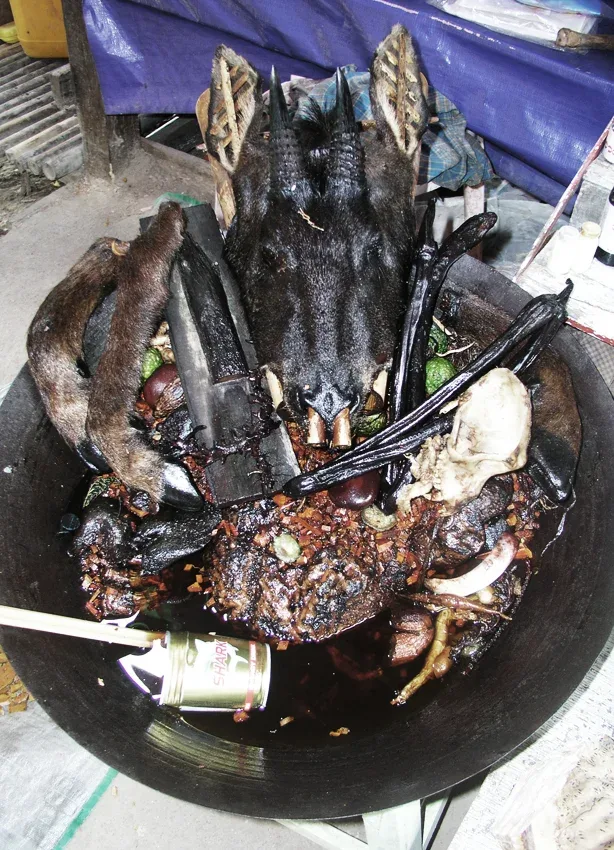 Barma 2007
