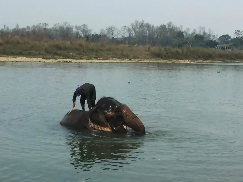 NEPÁL 2019