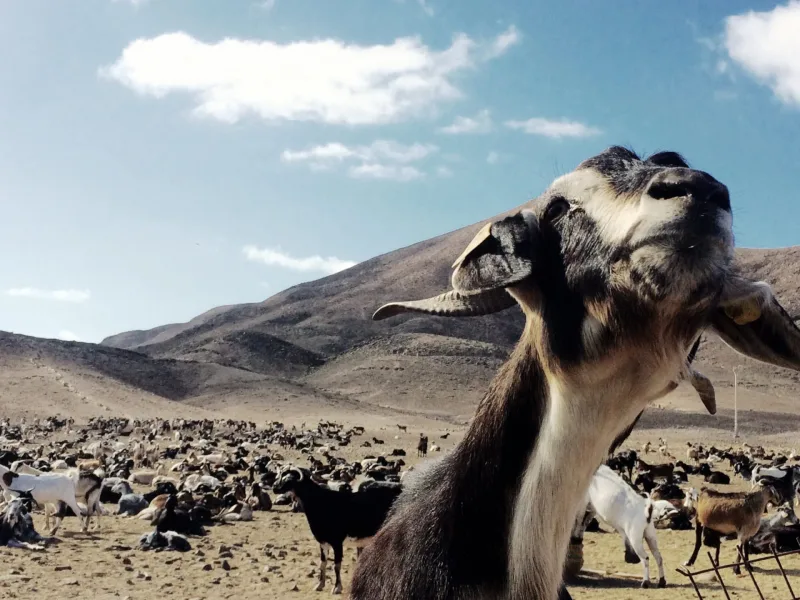 Fuerteventura 2016