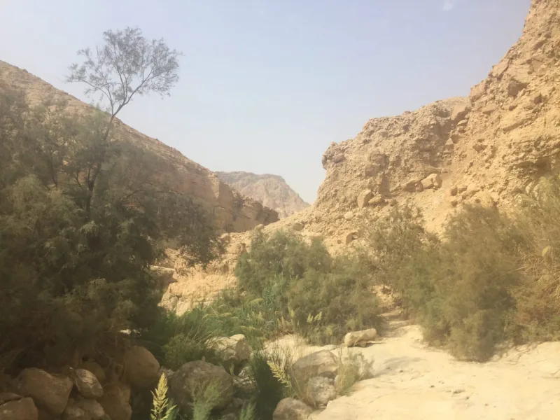 IZRAEL / PALESTINA 2018