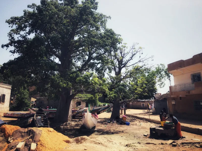 SENEGAL 2019