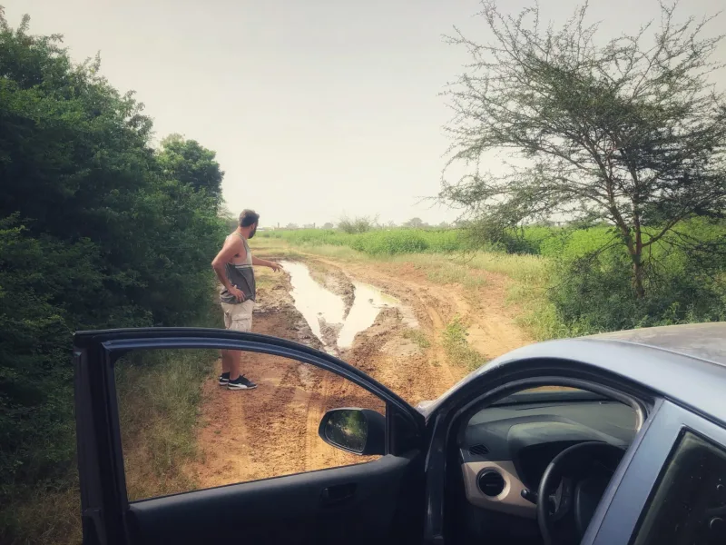SENEGAL 2019