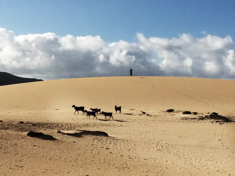 Fuerteventura 2016