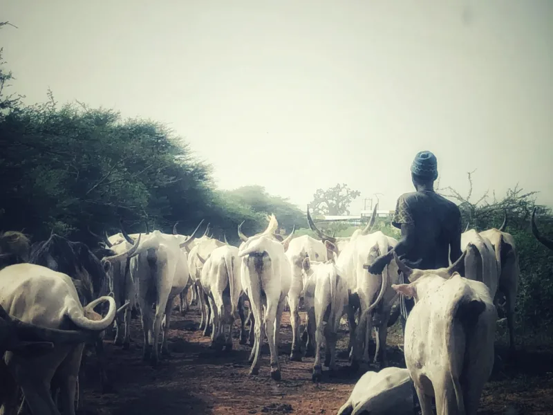 SENEGAL 2019
