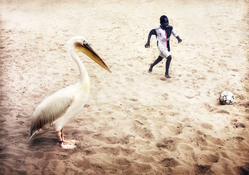 SENEGAL 2019